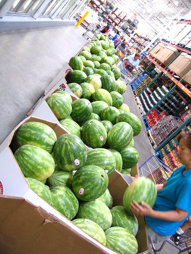 grocery-store