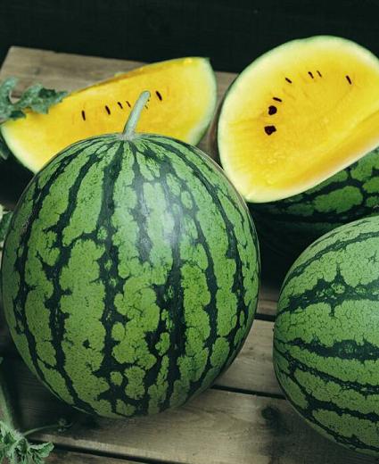 yellowflesh yellowflesh