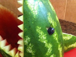 Watermelon shark detail