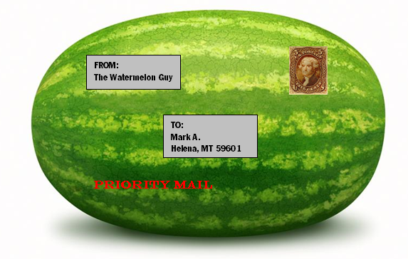 Ask The Experts Finding Watermelon In The Off Season What About Watermelon