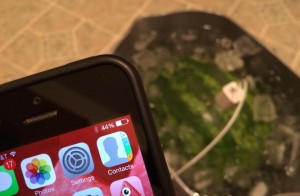 Watermelon charging SECOND ATTEMPT
