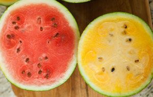 watermelon-size-difference-red-yellow