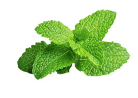 mint-leaves