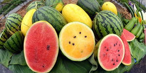 watermelon-varieties