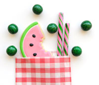 watermelon-favor-bags