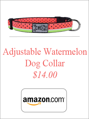 adjustable-watermelon-dog-collar