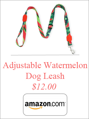 adjustable-watermelon-dog-leash