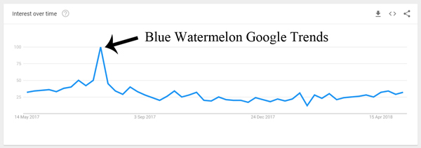 blue-watermelon-google-trends