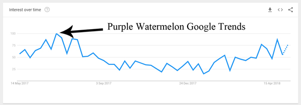 purple-watermelon-google-trends