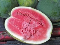 black-diamond-watermelons