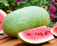 charleston-grey-watermelon
