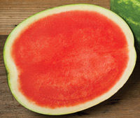 excursion-watermelon