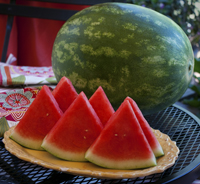 kingman-watermelon