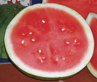 triple-treat-watermelon