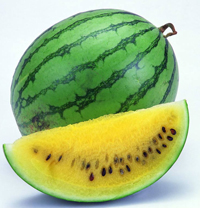 yellow-doll-watermelon