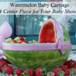 watermelon-baby-carriage-bassinet-pram