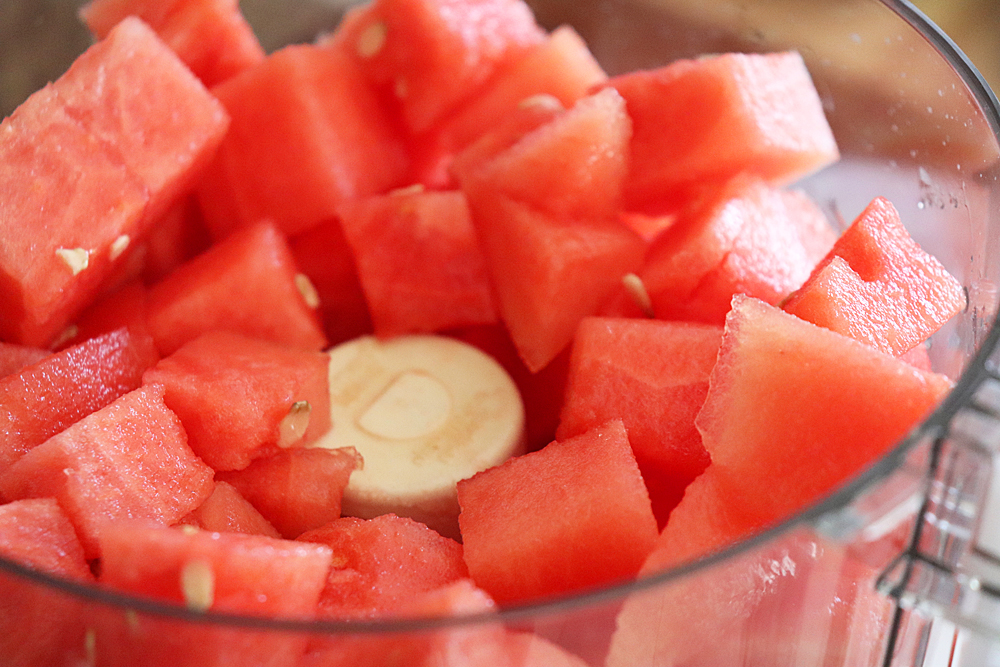 Watermelon chunks in a food processor
